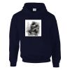 DryBlend® adult hooded sweatshirt Thumbnail